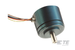 R30A RVDT| Althen Sensors
